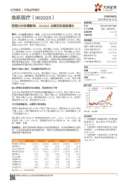 受国内外疫情影响，2020Q1业绩实现高速增长