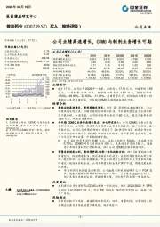 公司业绩高速增长，CDMO与制剂业务增长可期