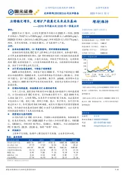 2019年年报以及2020年一季报点评:业绩稳定增长,定增扩产能奠定未来成长基础