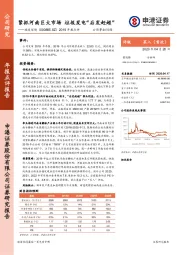 2019年报点评：紧抓河南巨大市场 垃圾发电“后发赶超”