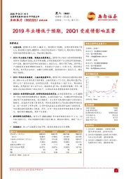 2019年业绩低于预期，20Q1受疫情影响显著