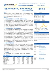 博瑞医药2020Q1点评：高壁垒仿制竞争力强，多渠道盈利抵疫情