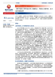 【粤开医药公司年报点评】灵康药业:巩固主力基本盘,发力高毛利新品种