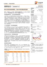 海外市场实现逆势增长,国内市场拓展成效显著