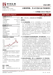 年报点评：业绩超预期，多点开花致20年持续增长