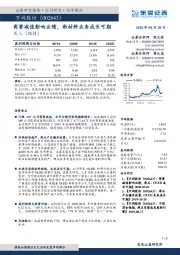 商誉减值影响业绩，新材料业务成长可期