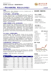 一季报业绩超预期,彰显龙头应对能力