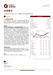 食醋龙头空间广阔，2020年有望稳健增长