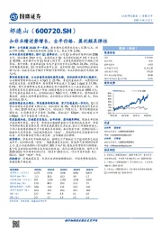 扣非业绩逆势增长，全年价格、盈利颇具弹性