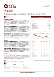 商誉减值致2019业绩大幅下滑，盈利承压、关注资产整合