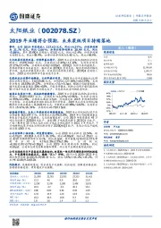 2019年业绩符合预期，未来浆纸项目持续落地