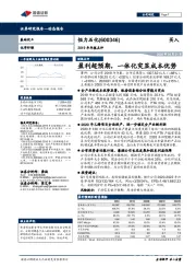 2019年年报点评:盈利超预期,一体化突显成本优势