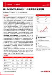 19年报点评：强大执行力下扎实的成长，找准赛道后未来可期