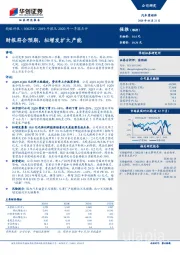 2019年报及2020年一季报点评：财报符合预期，拟增发扩大产能