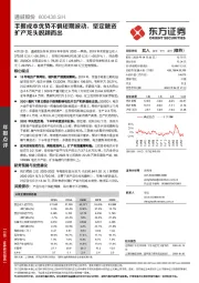 手握成本优势不惧短期波动，坚定融资扩产龙头脱颖而出