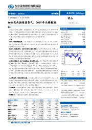 细分龙头持续高景气，2019年业绩靓丽