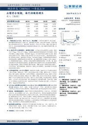 一季报点评：业绩符合预期，海外持续高增长