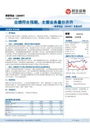 年报点评：业绩符合预期，主营业务量价齐升