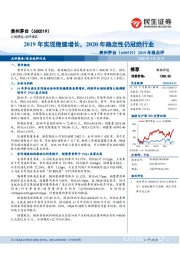 2019年报点评:2019年实现稳健增长,2020年确定性仍冠绝行业
