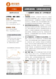 19年年报点评:业绩略超预期,长期增长确定性强