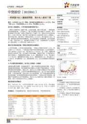 一季度国内收入增速超预期，海外收入略有下滑