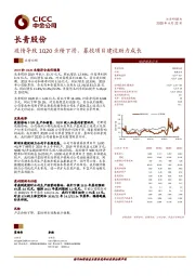 疫情导致1Q20业绩下滑，募投项目建设助力成长