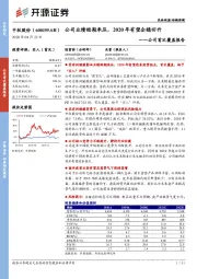 公司首次覆盖报告：公司业绩短期承压，2020年有望企稳回升