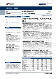 19年年报及20年一季报点评：产能布局有序推进，定增提升发展潜力