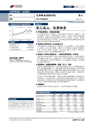 2019年年报点评：积土成山，优势渐显