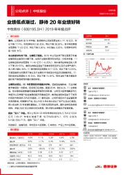 2019年年报点评：业绩低点渐过，静待20年业绩好转