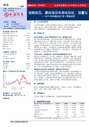 2019年年报&2020年一季报点评：短期承压，募投项目布局电动化、轻量化