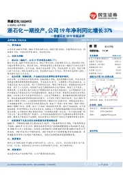 荣盛石化2019年报点评：浙石化一期投产，公司19年净利同比增长37%