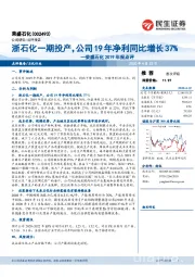 荣盛石化2019年报点评:浙石化一期投产,公司19年净利同比增长37%