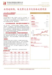 业绩超预期,埃克替尼差异化策略效果明显
