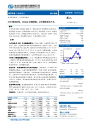 2019顺利收官，2020Q1业绩坚挺，公司增长动力十足