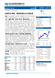 业绩符合预期，精耕渠道助力长期发展
