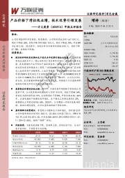 年报点评报告:产品价格下滑拉低业绩,技术优势引领发展