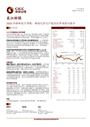 2019业绩略低于预期，期待无害化产能投运带动盈利提升