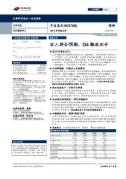 2019年年报点评:收入符合预期,Q4触底回升