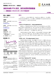 2019年报点评:涤纶长丝和PTA承压,浙石化项目贡献增量