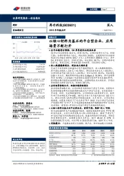 2019年年报点评：以核心材料为基石的平台型企业，应用场景不断打开