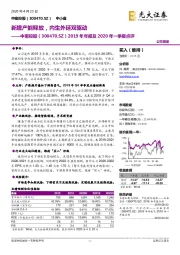 2019年年报及2020年一季报点评:新增产能释放,内生外延双驱动