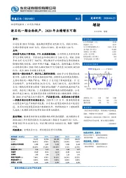 浙石化一期全面投产，2020年业绩增长可期