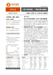 19年及20Q1业绩点评：大客户成效显著，一季度业绩大幅增长