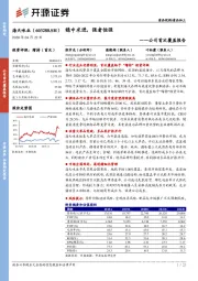 公司首次覆盖报告：稳中求进，强者恒强