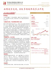 业绩逐步兑现，CIS多领域布局多点开花