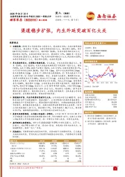 2019年报及2020一季报点评：渠道稳步扩张，内生外延突破百亿大关