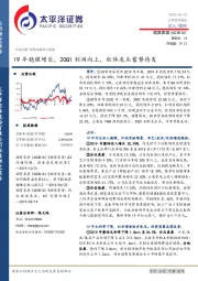 19年稳健增长，20Q1利润向上，软体龙头蓄势待发