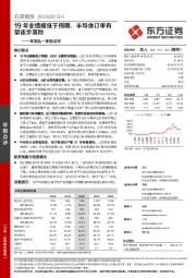 年报&一季报点评：19年业绩略低于预期，半导体订单有望逐步落地