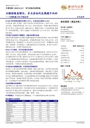 天顺风能2019年报点评:业绩持续高增长,多业务协同发展稳中向好
